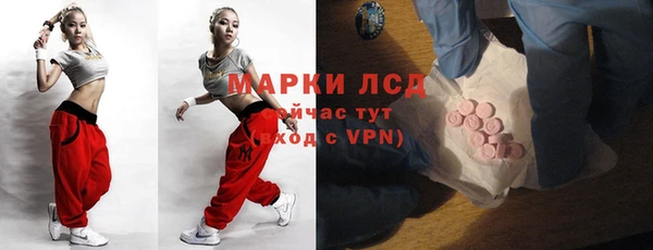гидра Аркадак