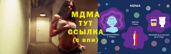гидра Аркадак