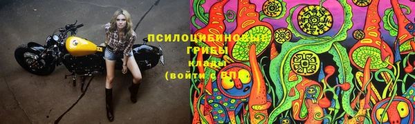 гидра Аркадак