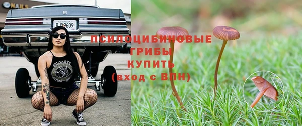 винт Армянск