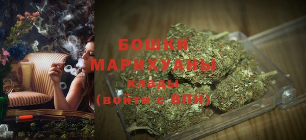 гидра Аркадак