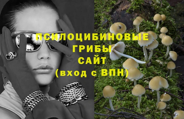 винт Армянск