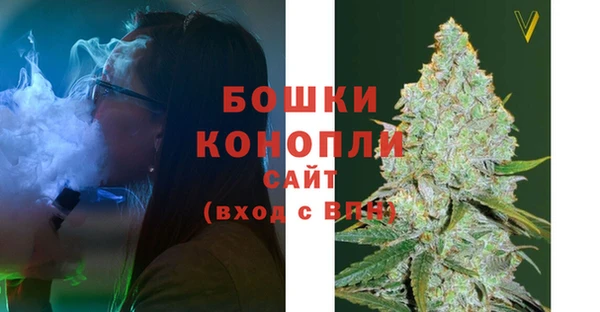 гидра Аркадак