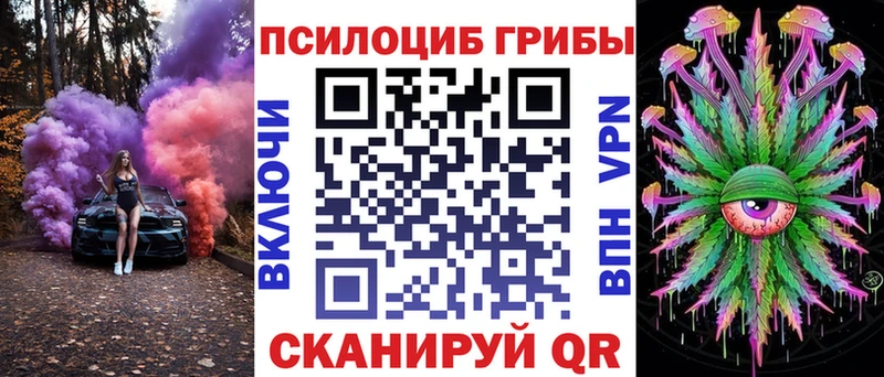 купить закладку  Луза  Псилоцибиновые грибы мицелий 